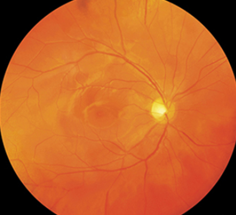 Vorsorgeunteruchungen-2